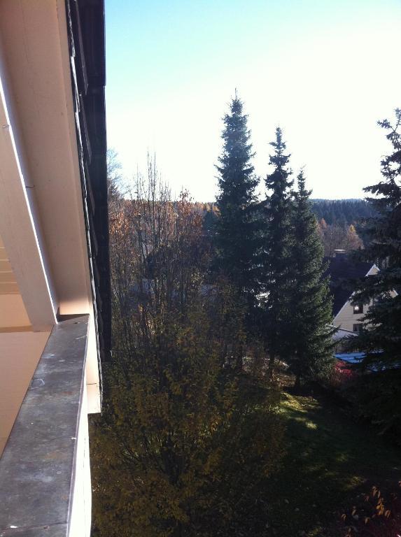 Concordia Harzapart Braunlage Zewnętrze zdjęcie