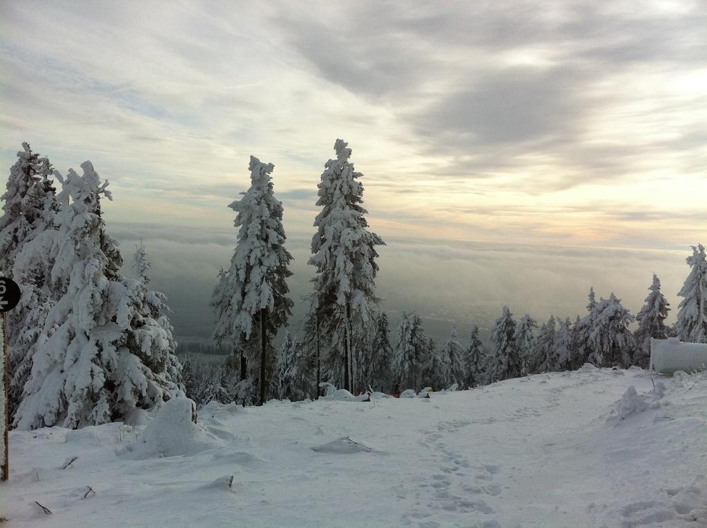 Concordia Harzapart Braunlage Zewnętrze zdjęcie
