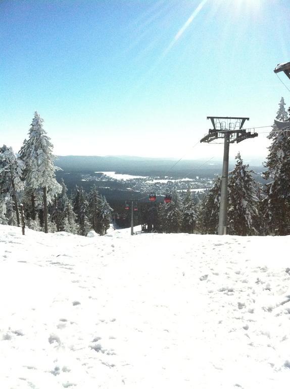 Concordia Harzapart Braunlage Zewnętrze zdjęcie