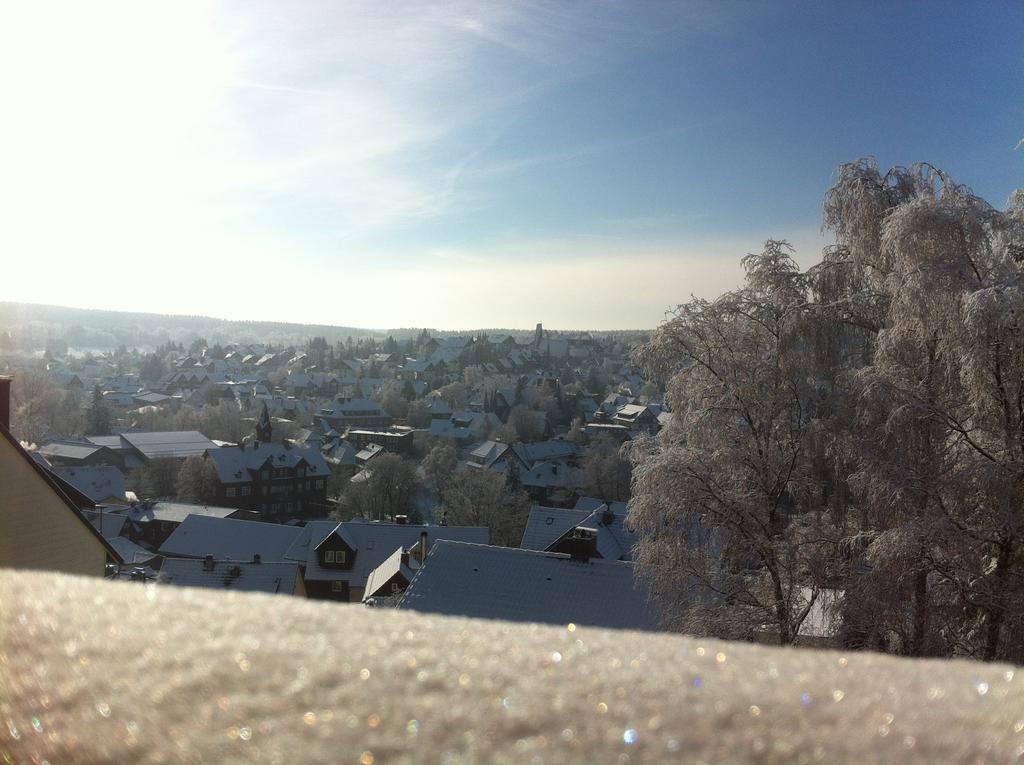 Concordia Harzapart Braunlage Pokój zdjęcie